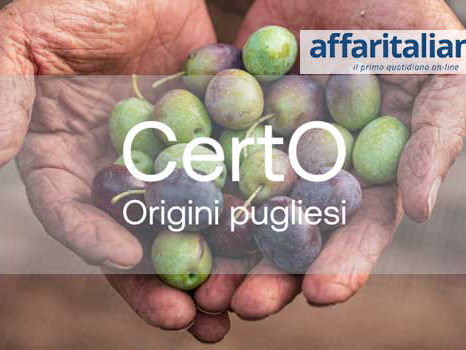 certoolio.20260504144230.ico.png
