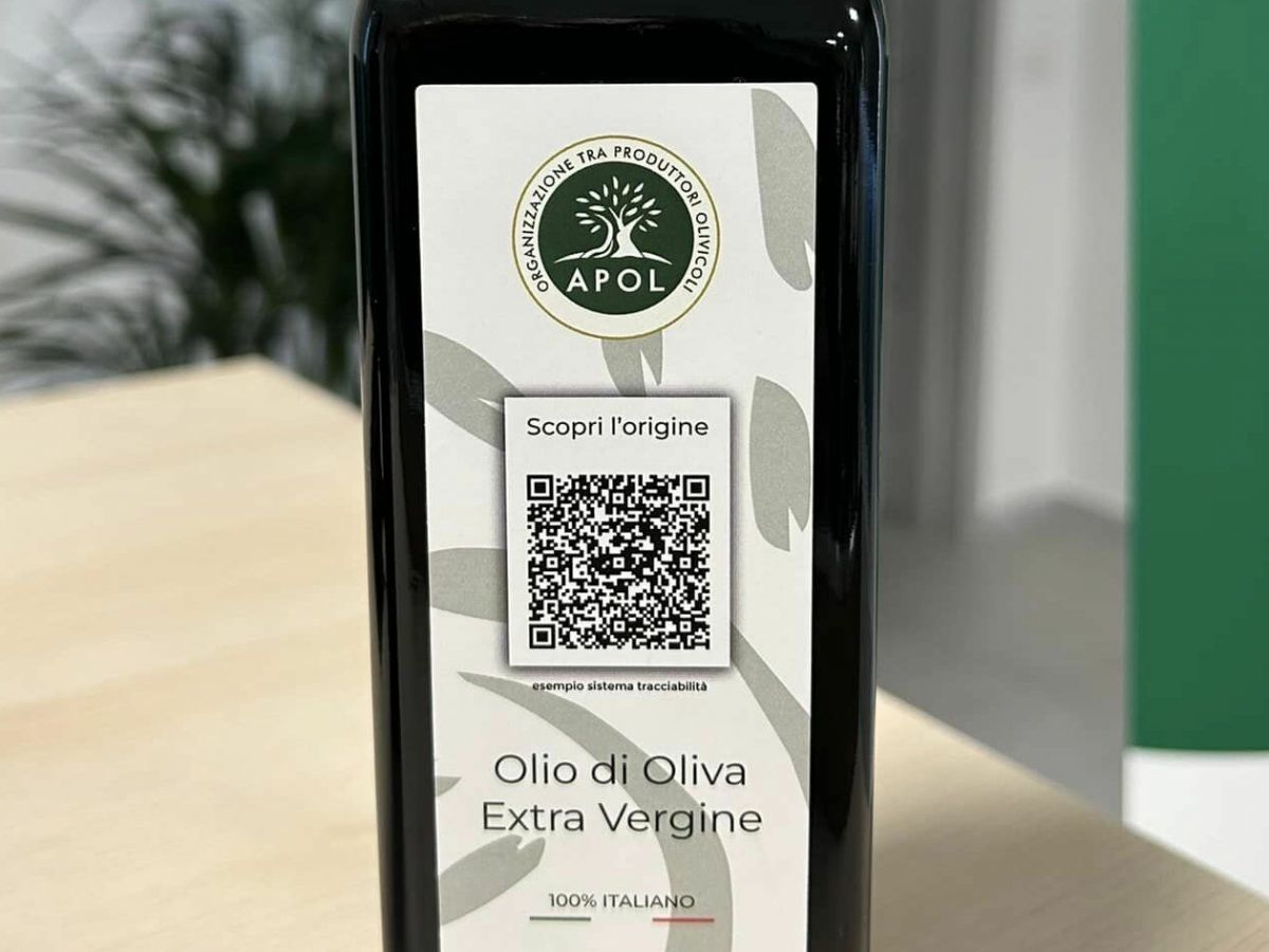 certoolio2.20260504144226.ico.png