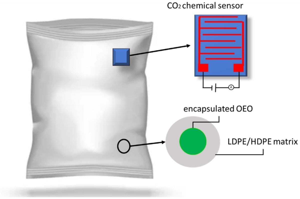 chemicalse.20251002134840.ico.png
