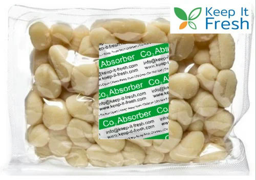 co2absorbe.20251029090430.ico.jpg