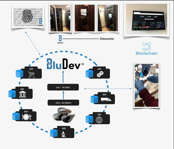 ev043blude.20251215100341.ico.jpg
