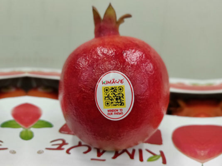 fruitscana.20260513075009.ico.png
