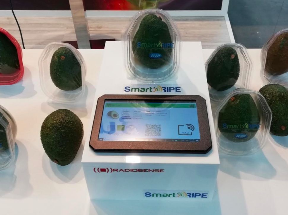 ilipsmartr.20260507104716.ico.jpg