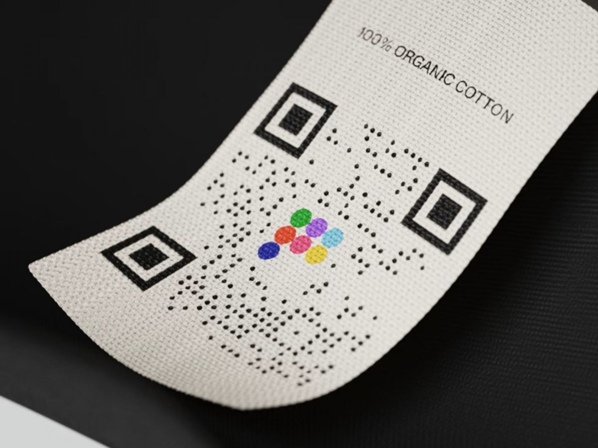 lf017panga.20260508122336.ico.jpg