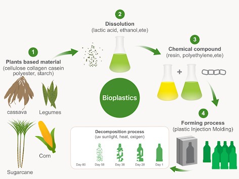 mat22biopl.20260627011441.ico.jpg