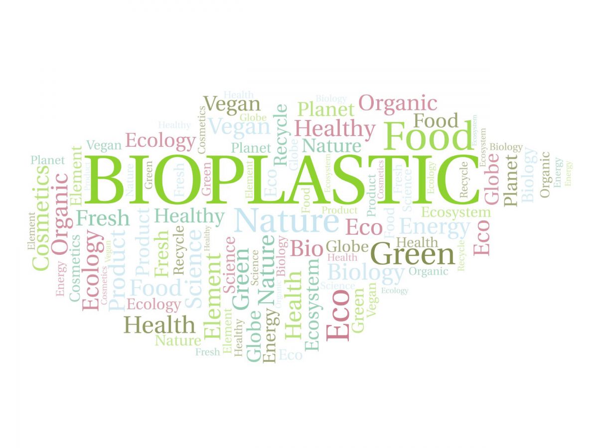 mat22biopl.20260627011447.ico.jpg