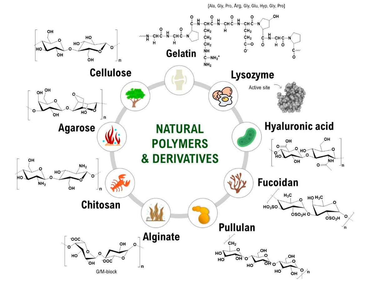 mat57natur.20260626213148.ico.jpg