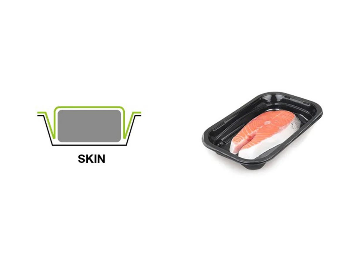 mor40skinp.20260304233409.ico.jpg