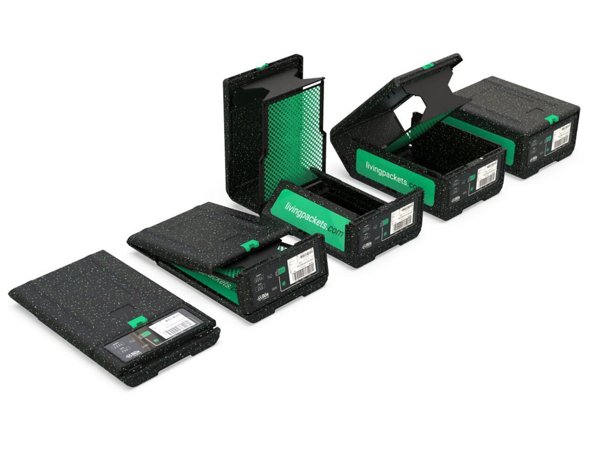 thebox2.20260505104214.ico.png