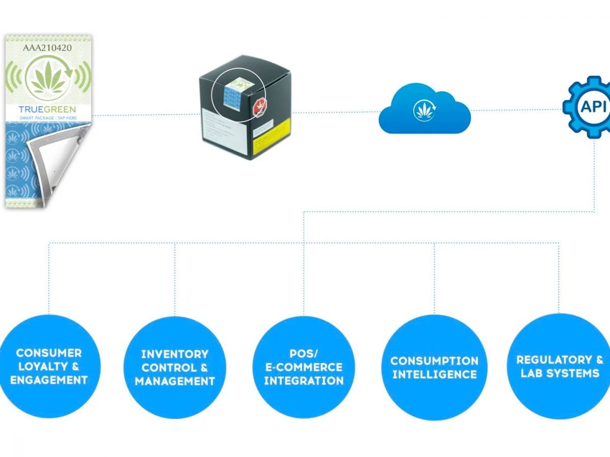 truegreen.20260428152650.ico.png